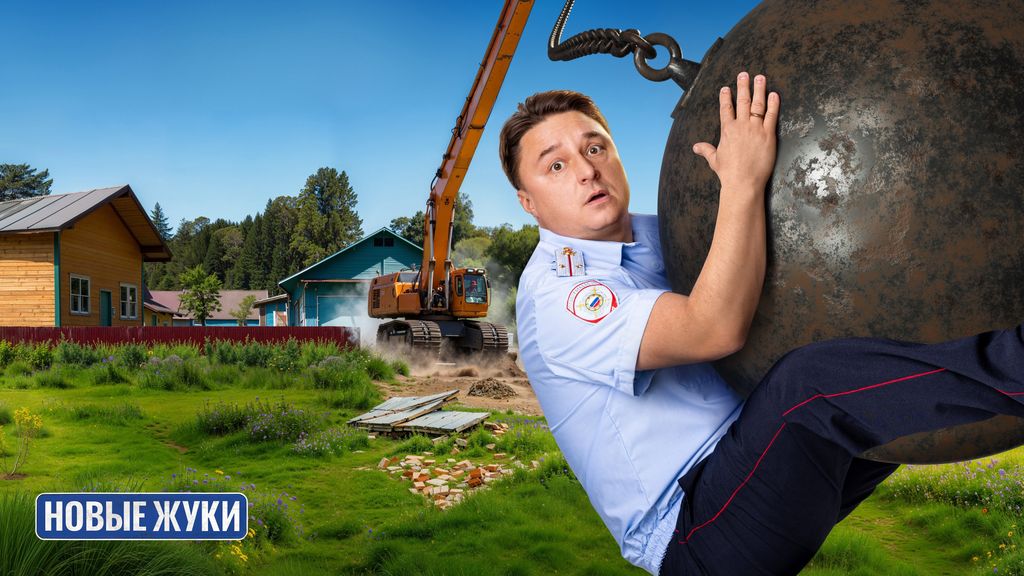 Жуки