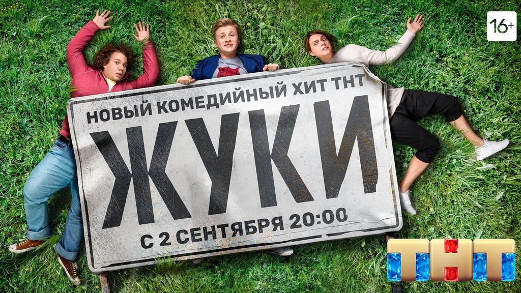 Жуки